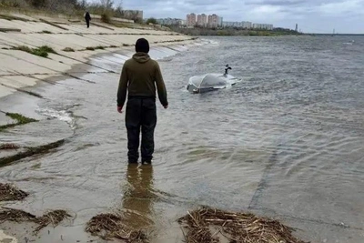 Мужчина перевернулся на лодке в шторм на севере Волгограда