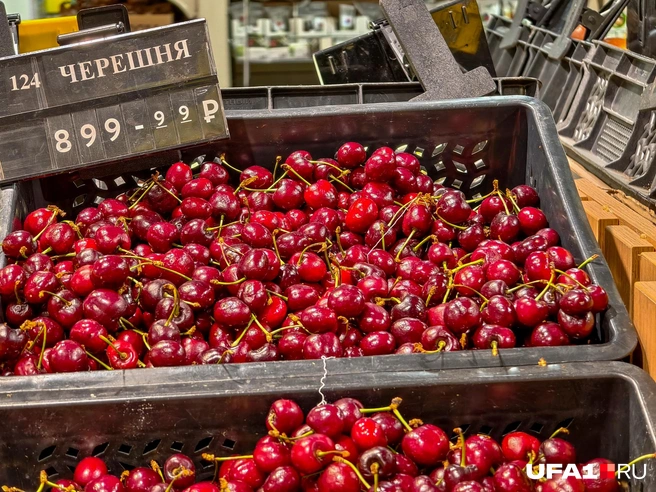 Можно прям ложкой есть (но лучше сначала помыть) | Источник: Булат Салихов / UFA1.RU