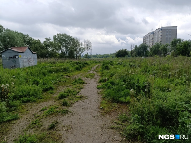 Раньше эта территория выглядела так | Источник: Стас Соколов / NGS.RU