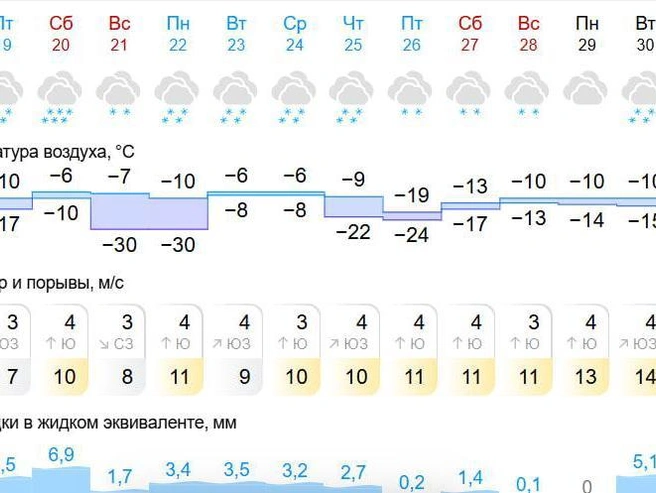Снег или дождь в последний день года не ожидается | Источник: Gismeteo.ru