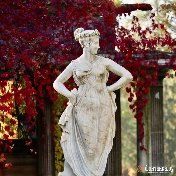 Источник: Лада Шаталова / читательница «Фонтанки»