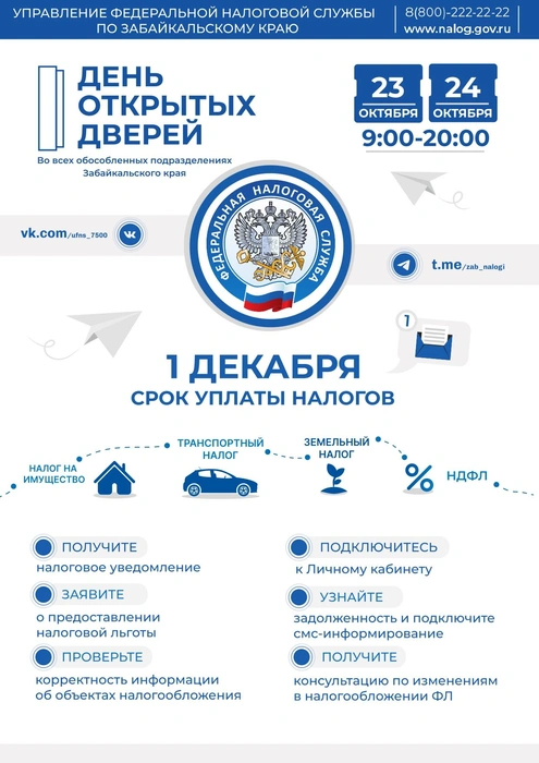 Источник: УФНС по Забайкальскому краю