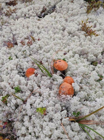 Источник: Александр Обрядин