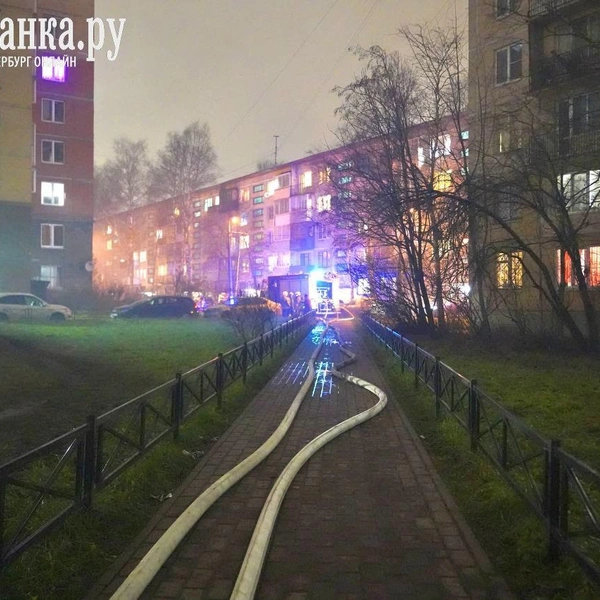 Источник: Павел Даиси / FONTANKA.RU