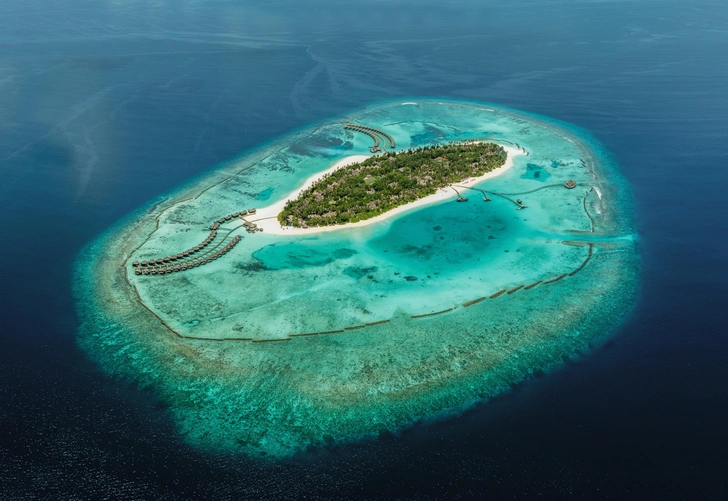 Мальдивы | Источник: Sun Siyam Iru Fushi