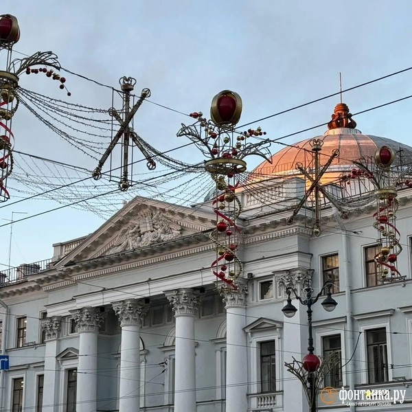 Источник: Марина Мамонтова / FONTANKA.RU