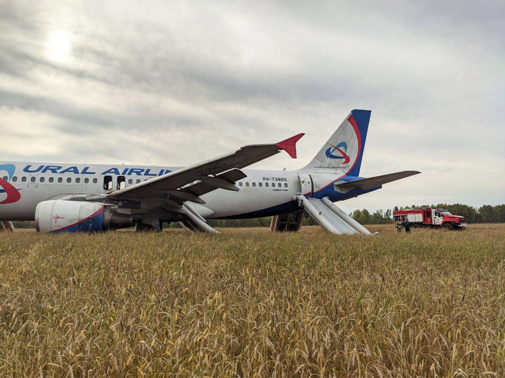 В поле, но без кукурузы: что известно об аварийной посадке самолета «Уральских авиалиний»