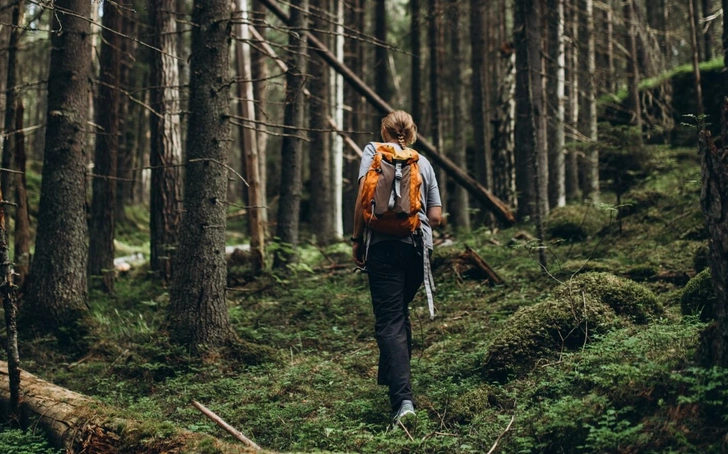 Источник: Глэмпинг Lago Ladoga / Naturalist.Travel
