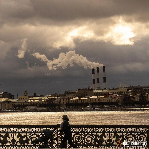 Источник: Михаил Огнев / FONTANKA.RU