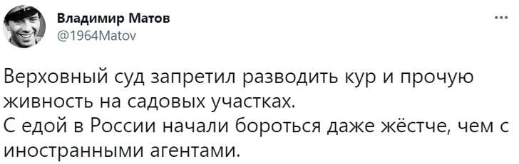 Лучшие шутки о запрете разводить кур в садах и огородах