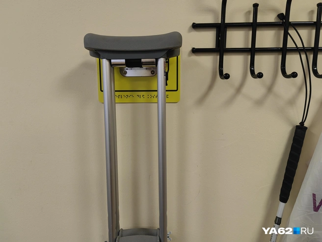 Тут есть разные виды тростей | Источник: Кристина Мельникова / YA62.RU