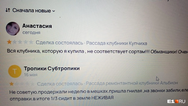 Получать такие отзывы о себе неприятно | Источник: читатель E1.RU Алексей
