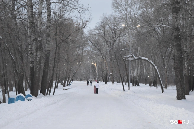Прогулки на свежем воздухе полезны для здоровья | Источник: Анастасия Баринова / 56.RU
