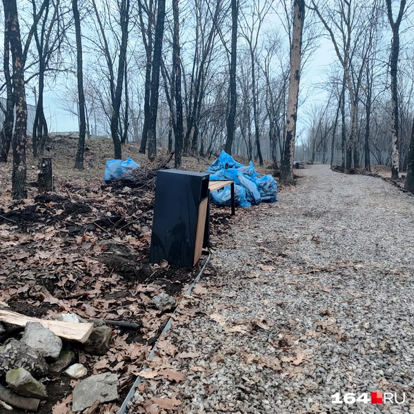 Источник: Сергей Гендин / 164.RU