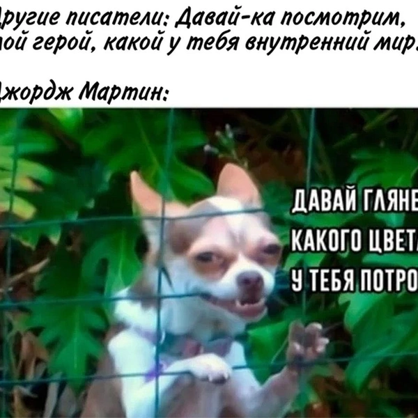 Источник: соцсети