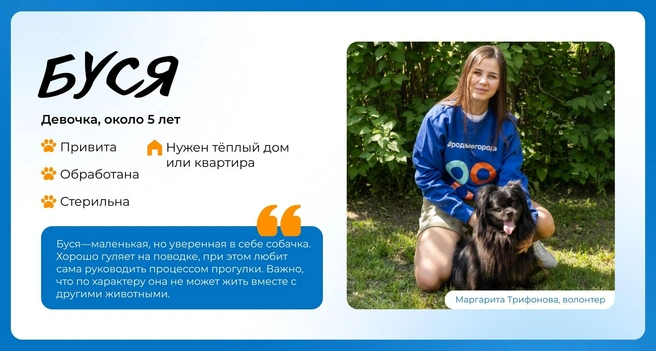 Источник: Василиса Молахова, Евгений Шаров
