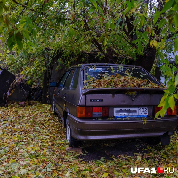 Источник: Булат Салихов / UFA1.RU