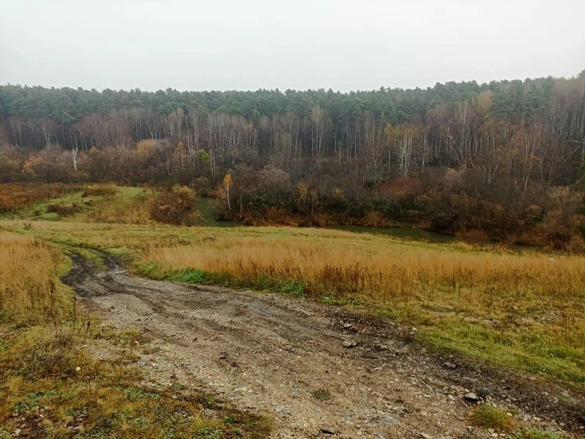 Следователи показали место трагедии  | Источник: СУ СКР по Новосибирской области