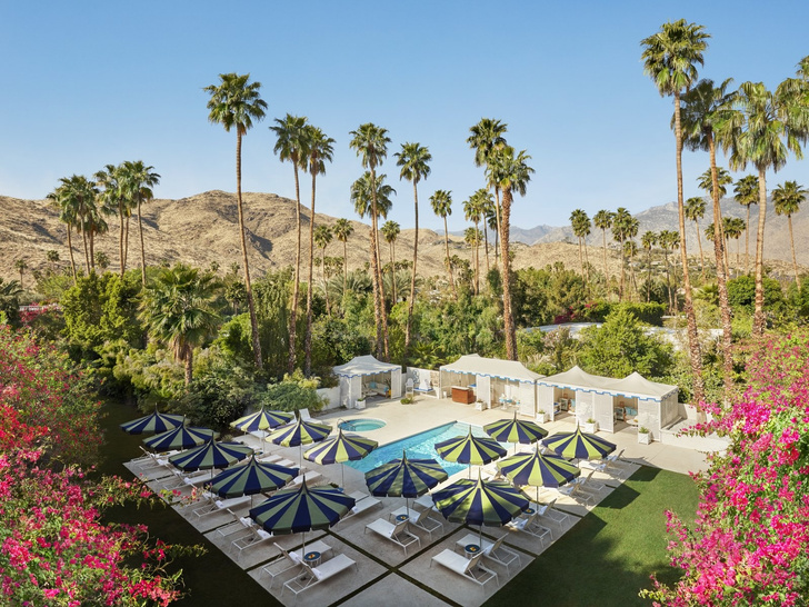 Калифорнийский шик: новый дизайн отеля Parker Palm Springs от Джонатана Адлера (фото 2)