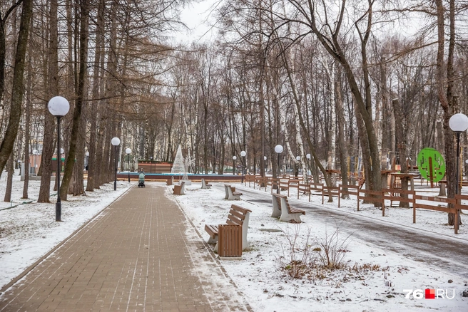 В Юбилейном парке собираются поставить светомузыкальный фонтан с функцией пенного | Источник: Кирилл Поверинов / 76.RU