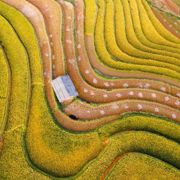 Источник: Diem Cao Thi Ngoc / Fine Art Photography Awards 2025