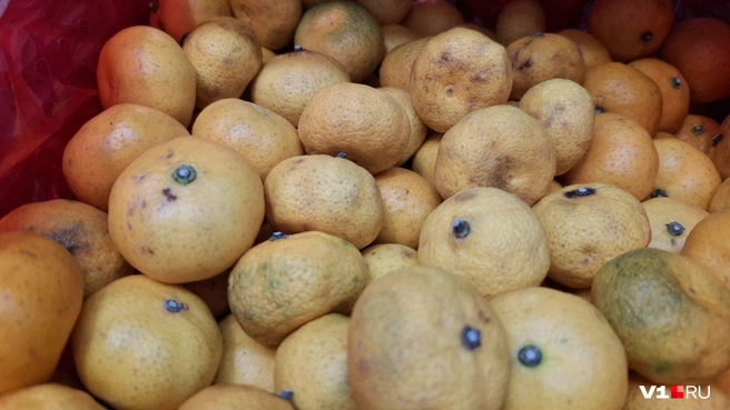 Некоторые мандаринки при детальном рассмотрении выглядят уже несколько залежавшимися | Источник: Тимофей Крылов / V1.RU