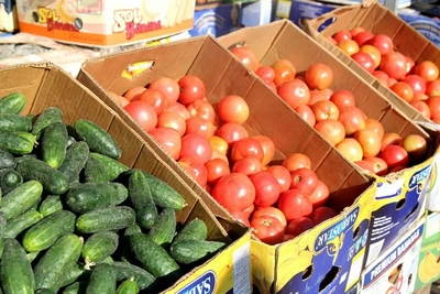Весенняя ярмарка саженцев и фермерской продукции в Южно-Сахалинске