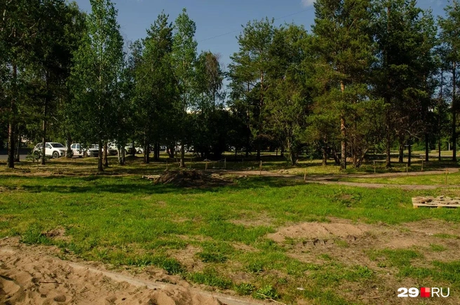 Источник: Александр Тонких