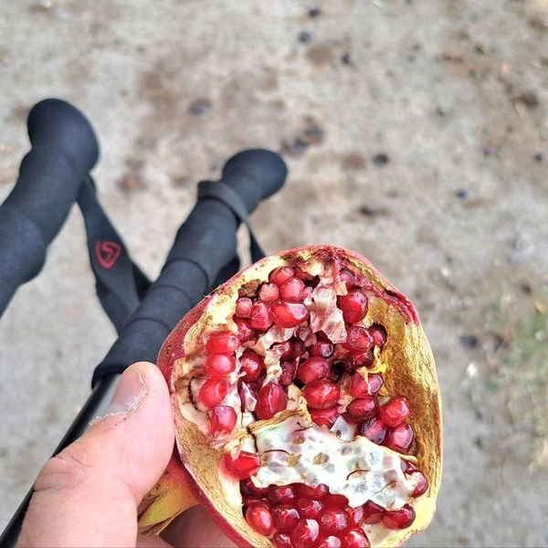 По дороге был и такой перекус: гранатовые деревья там везде | Источник: Евгений Рубе