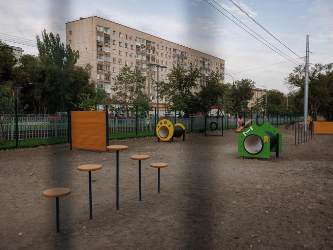 Впрочем, наплыва владельцев домашних животных пока нет | Источник: Алексей Волхонский / V1.RU