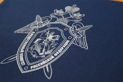 Возбуждено дело о насилии в отношении полицейского в Поронайске