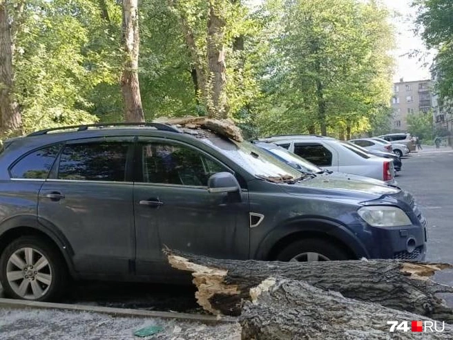 Дерево упало прямо на крышу внедорожника | Источник: читатель 74.RU