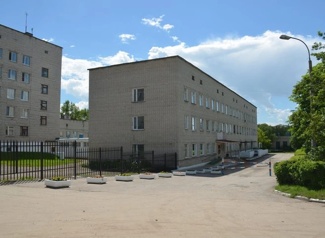 СМИ: скопинские врачи получили за работу с COVID-пациентами по 500 рублей | ya62.ru
