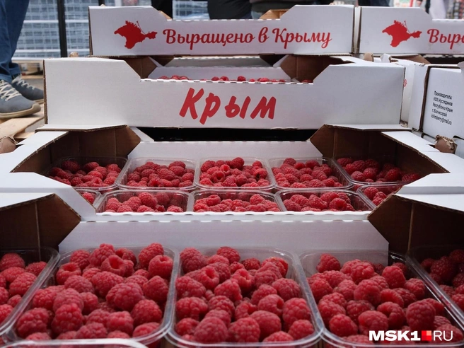На рынке «ФудСити» лоток весом в 500 грамм можно приобрести за 2000-2500 рублей | Источник: София Земляных / MSK1.RU