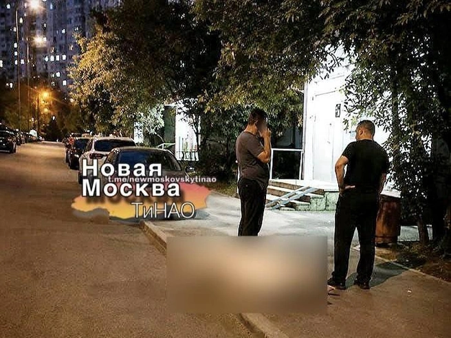 Накануне у подъезда видели двух мужчин, которые волочили тушу | Источник: Новая Москва / T.me