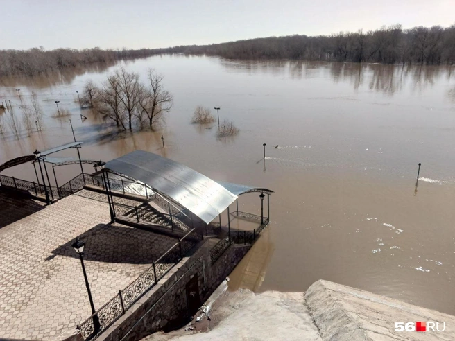 Во время паводка в Оренбурге вода поднимется до 7-8 метров | Источник: Владислав Митрошин / 56.RU