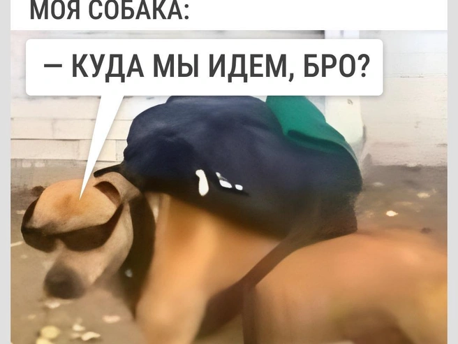 В любое время суток готов | Источник: Городские медиа