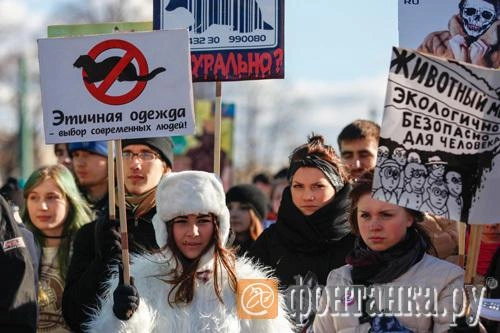Источник: Анна Волкова