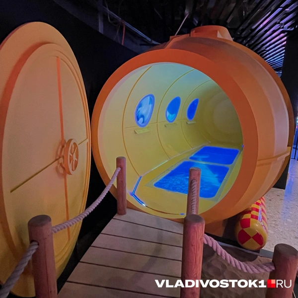 Источник: Елена Буйвол / VLADIVOSTOK1.RU