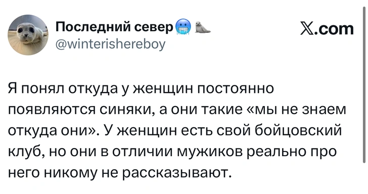 Источник: X (Twitter)