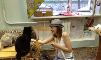 Необычные кафе Красноярска: играем с кошками и смотрим фильмы