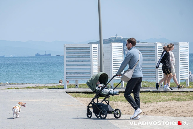 Отпуском можно воспользоваться один раз в течение года со дня рождения ребенка | Источник: Елена Буйвол / VLADIVOSTOK1.RU
