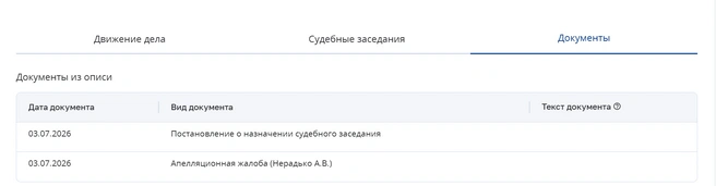 Защита Александра Нерадько подала апелляционную жалобу на избранную меру пресечения | Источник: mos-gorsud.ru