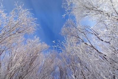 ГИБДД Забайкалья предупреждает родителей об опасных забавах