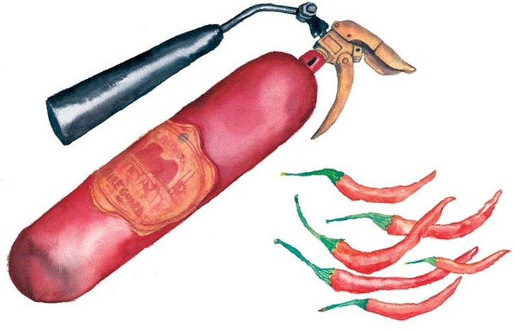 Стручковые остряки: как красный перец стал главной кулинарной приправой