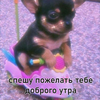 Аватарка Александра