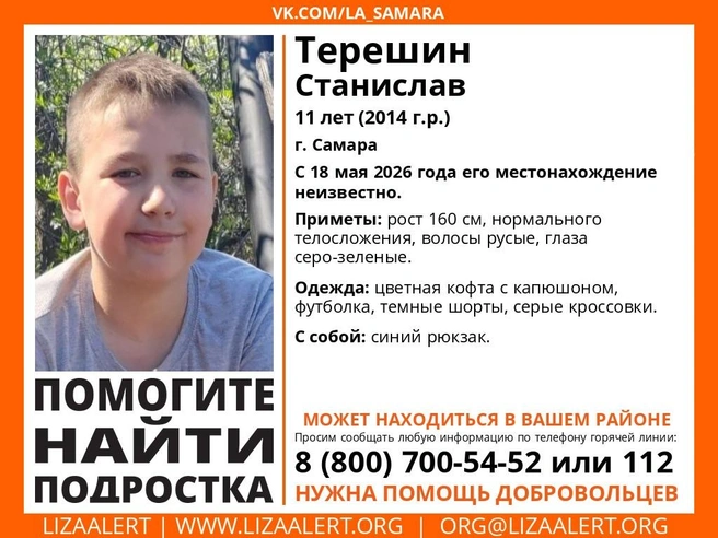 Ориентировка от волонтеров | Источник: ДПСО «ЛизаАлерт» Самарской области