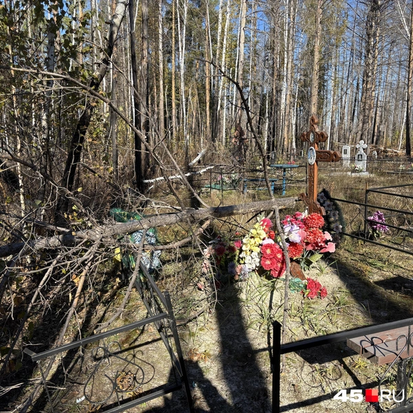 Источник: Кирилл Митин