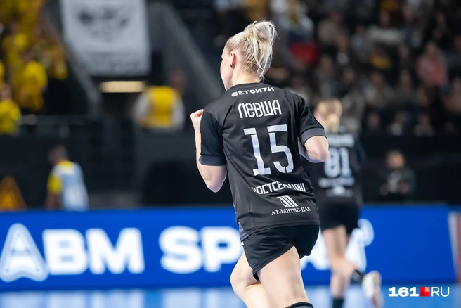 Источник: Евгений Вдовин / 161.RU