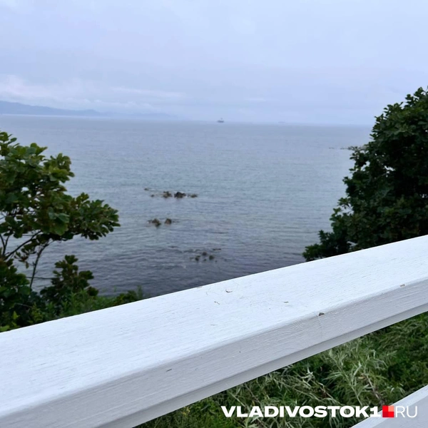 Источник: Алиса Князева / VLADIVOSTOK1.RU